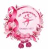 Association Sportive Haguenau Handball